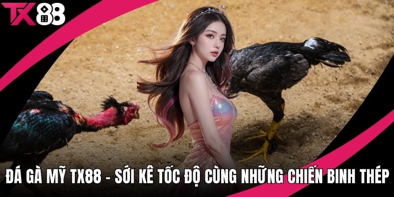 Đá Gà Mỹ TX88