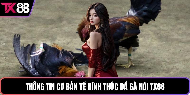 Thông tin cơ bản về hình thức đá gà nòi TX88