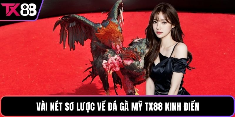 Vài nét sơ lược về đá gà Mỹ TX88 kinh điển